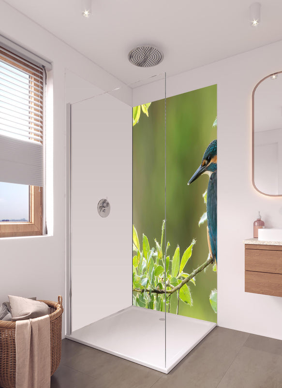 Duschrückwand - Exotischer friedlicher Eisvogel in hellem Badezimmer mit Regenduschkopf - einteilige Duschrückwand