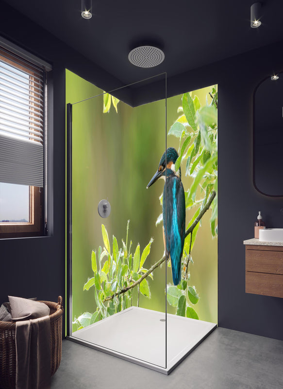 Duschrückwand - Exotischer friedlicher Eisvogel in dunklem Badezimmer mit Regenduschkopf