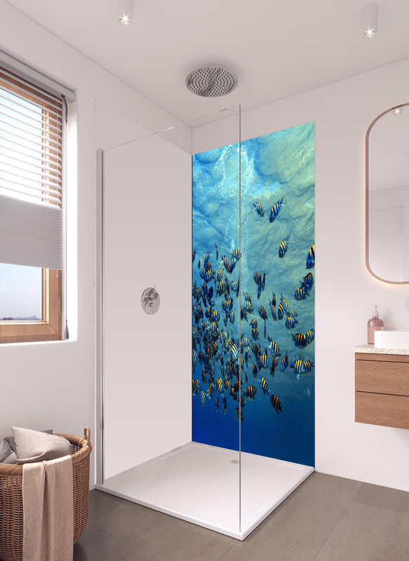Duschrückwand - Fische im klarem Meer in hellem Badezimmer mit Regenduschkopf - einteilige Duschrückwand
