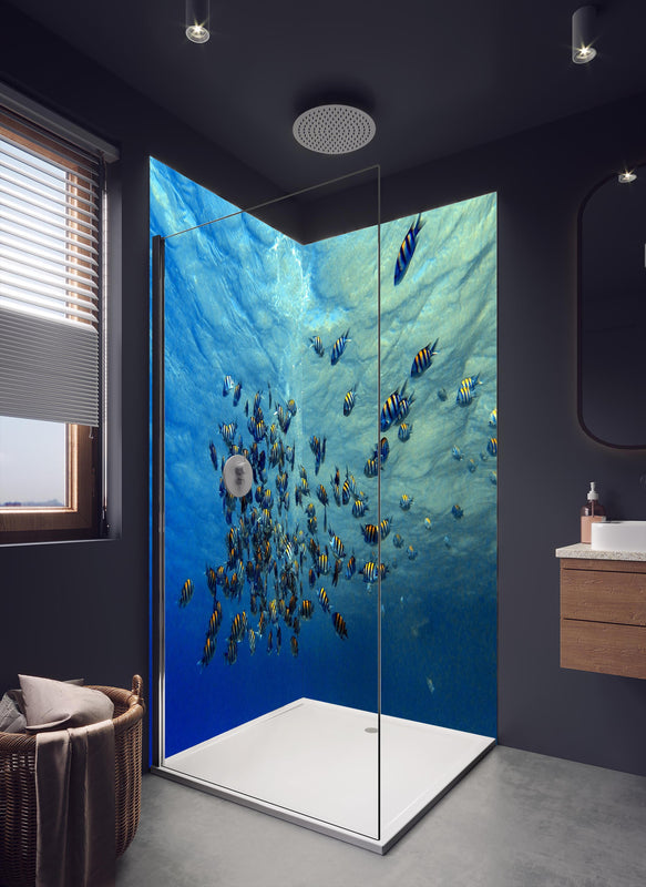 Duschrückwand - Fische im klarem Meer in dunklem Badezimmer mit Regenduschkopf