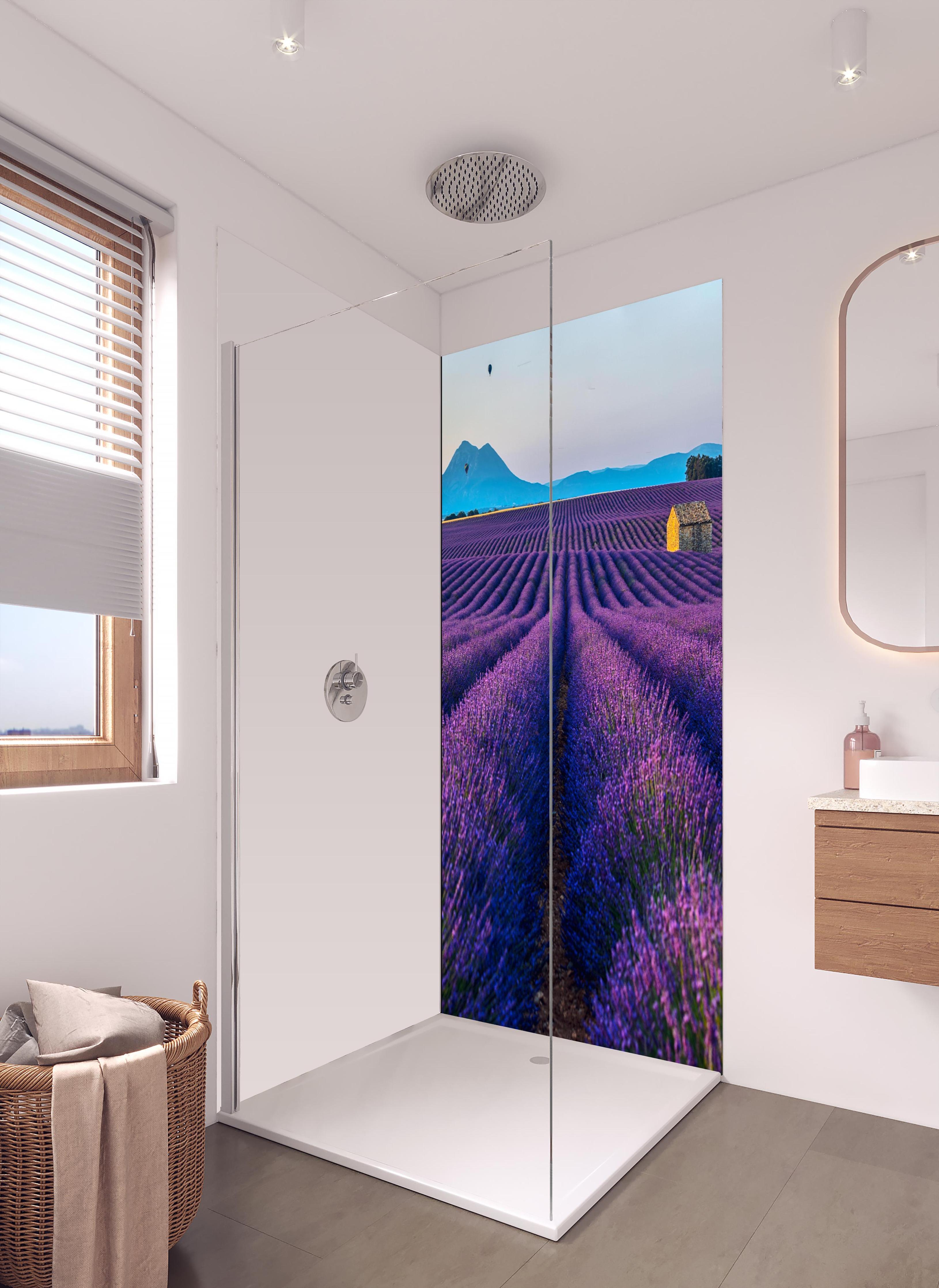 Duschrückwand - Französische Lavendelfelder in hellem Badezimmer mit Regenduschkopf - einteilige Duschrückwand