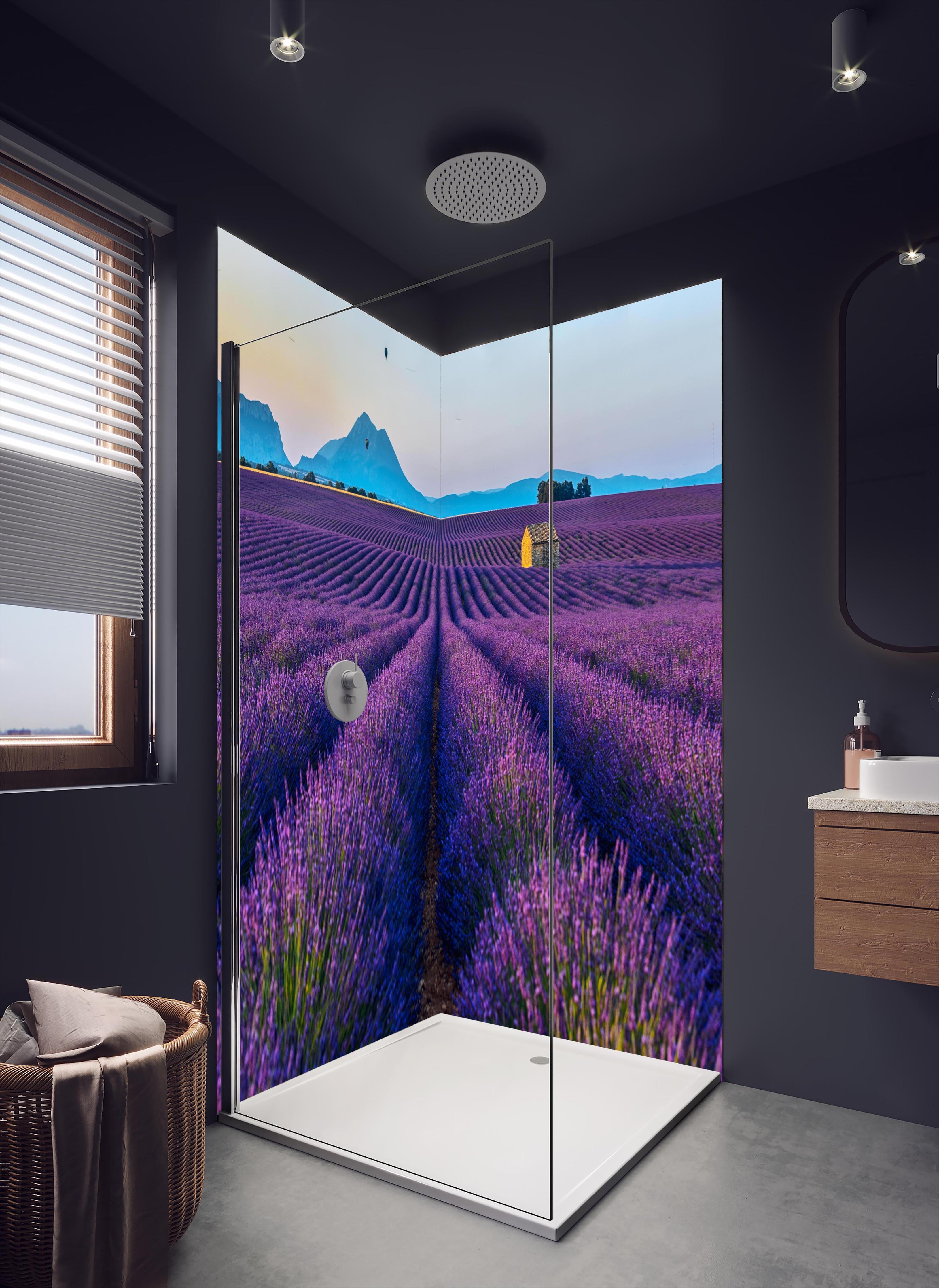Duschrückwand - Französische Lavendelfelder in dunklem Badezimmer mit Regenduschkopf