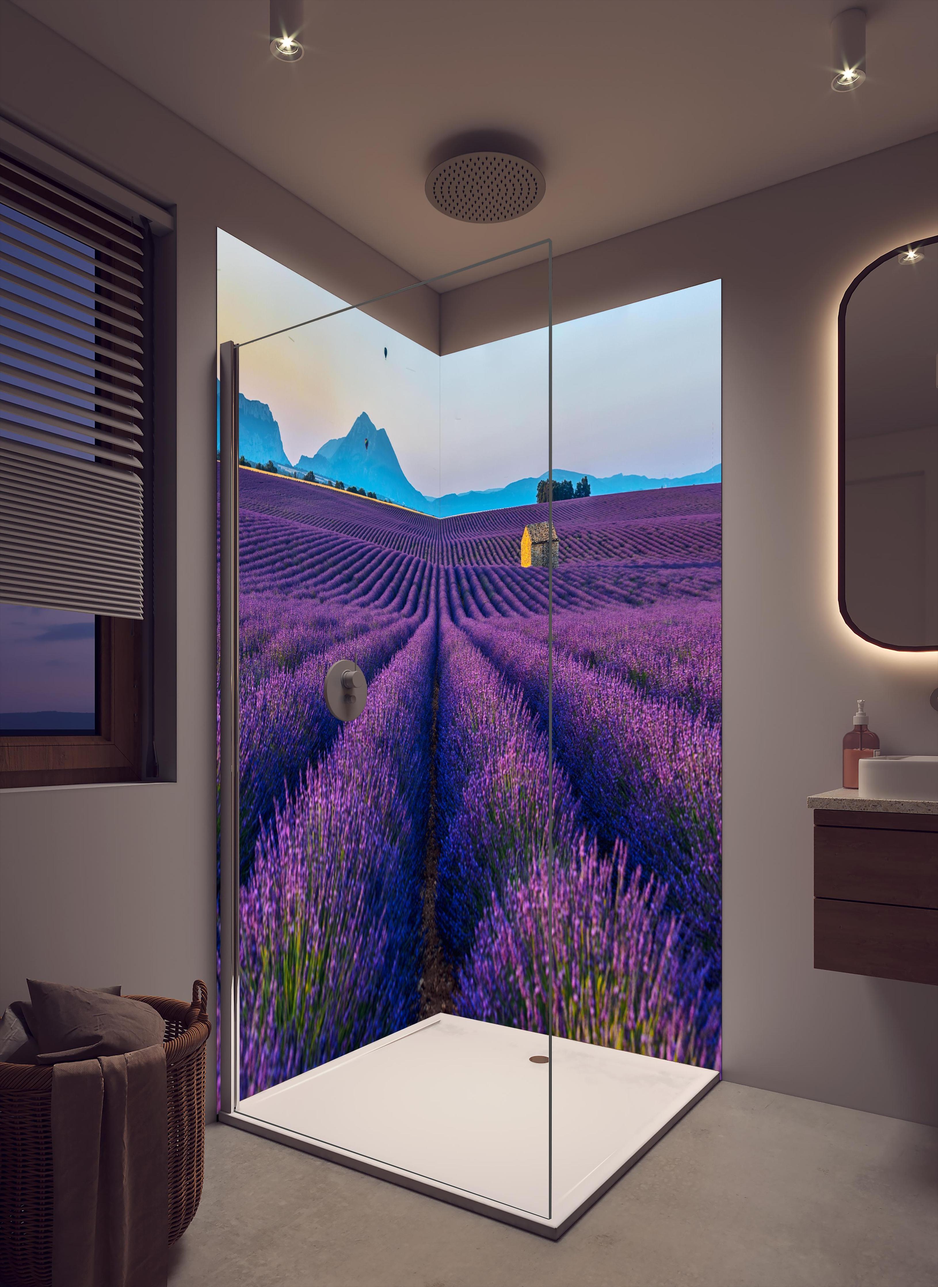 Duschrückwand - Französische Lavendelfelder in cremefarbenem Badezimmer mit Regenduschkopf