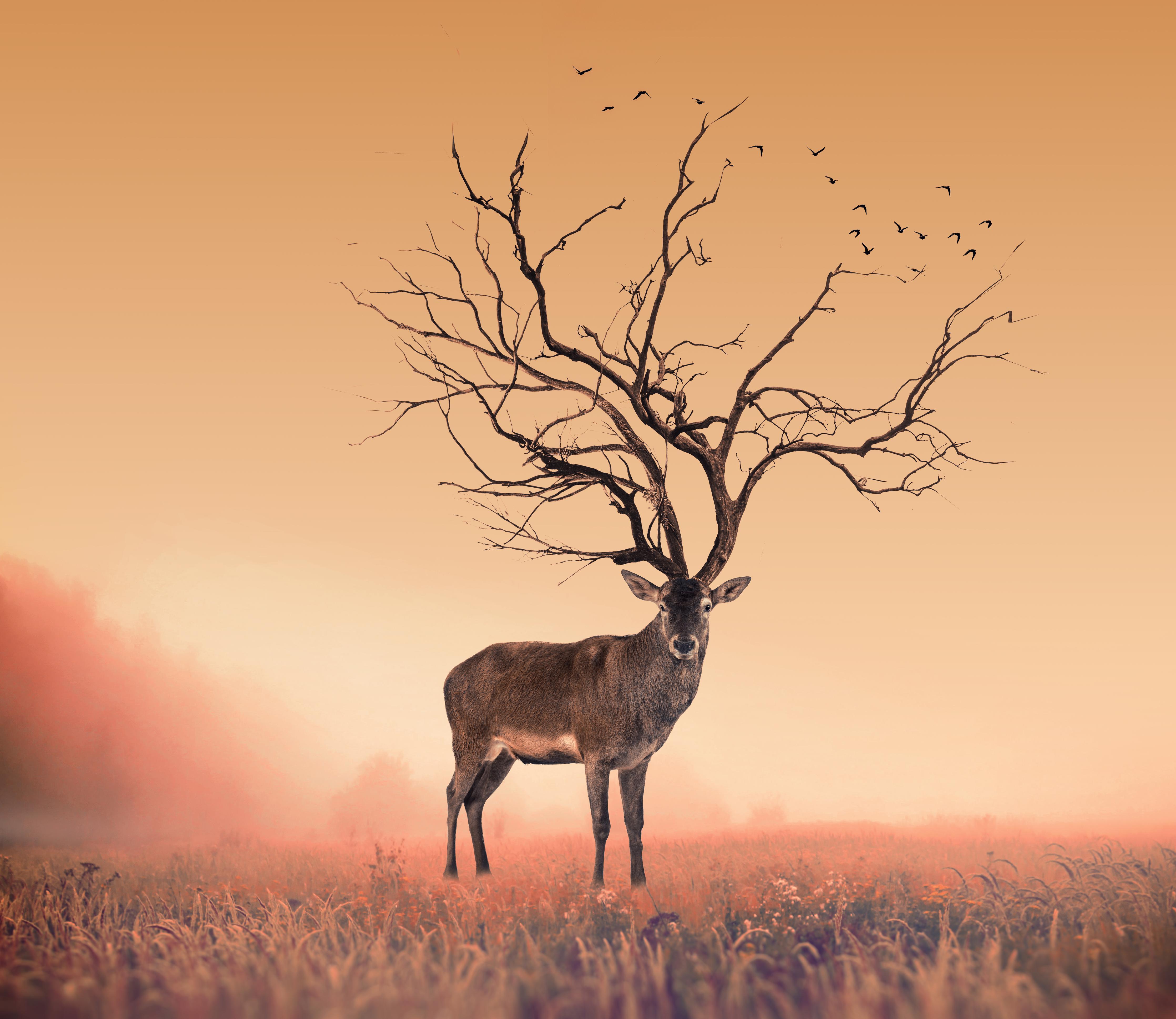 Duschrückwand-Hirsch mit abstraktem Baum-Geweih