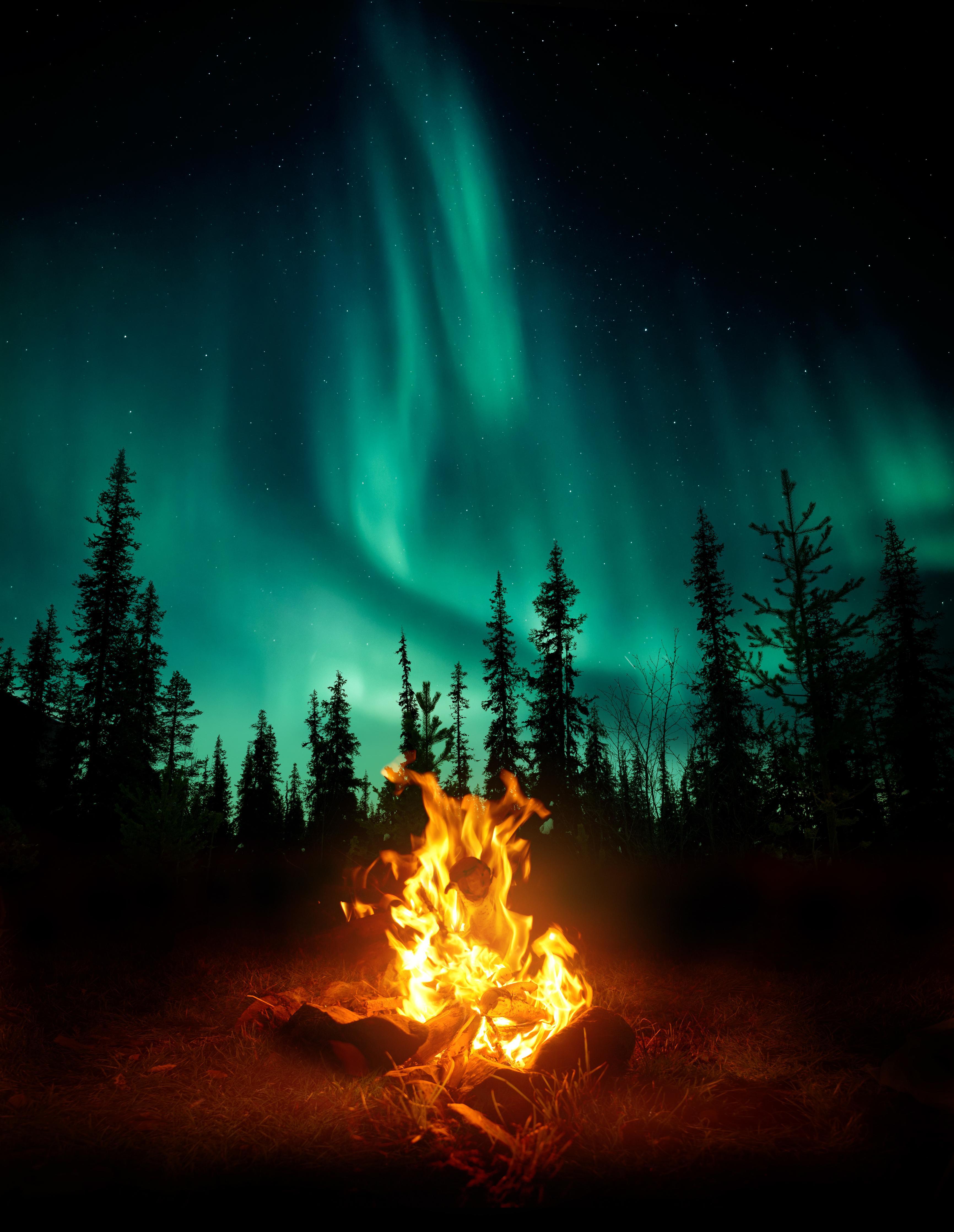 Duschrückwand-Lagerfeuer mit Nordlichtern in den Wäldern Schwedens