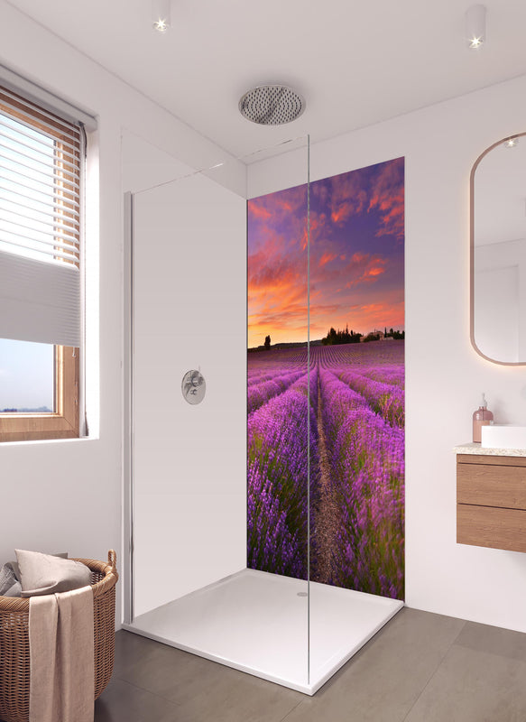 Duschrückwand - Lavendelfeld in der Morgendämmerung in hellem Badezimmer mit Regenduschkopf - einteilige Duschrückwand