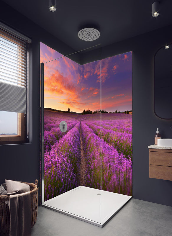 Duschrückwand - Lavendelfeld in der Morgendämmerung in dunklem Badezimmer mit Regenduschkopf