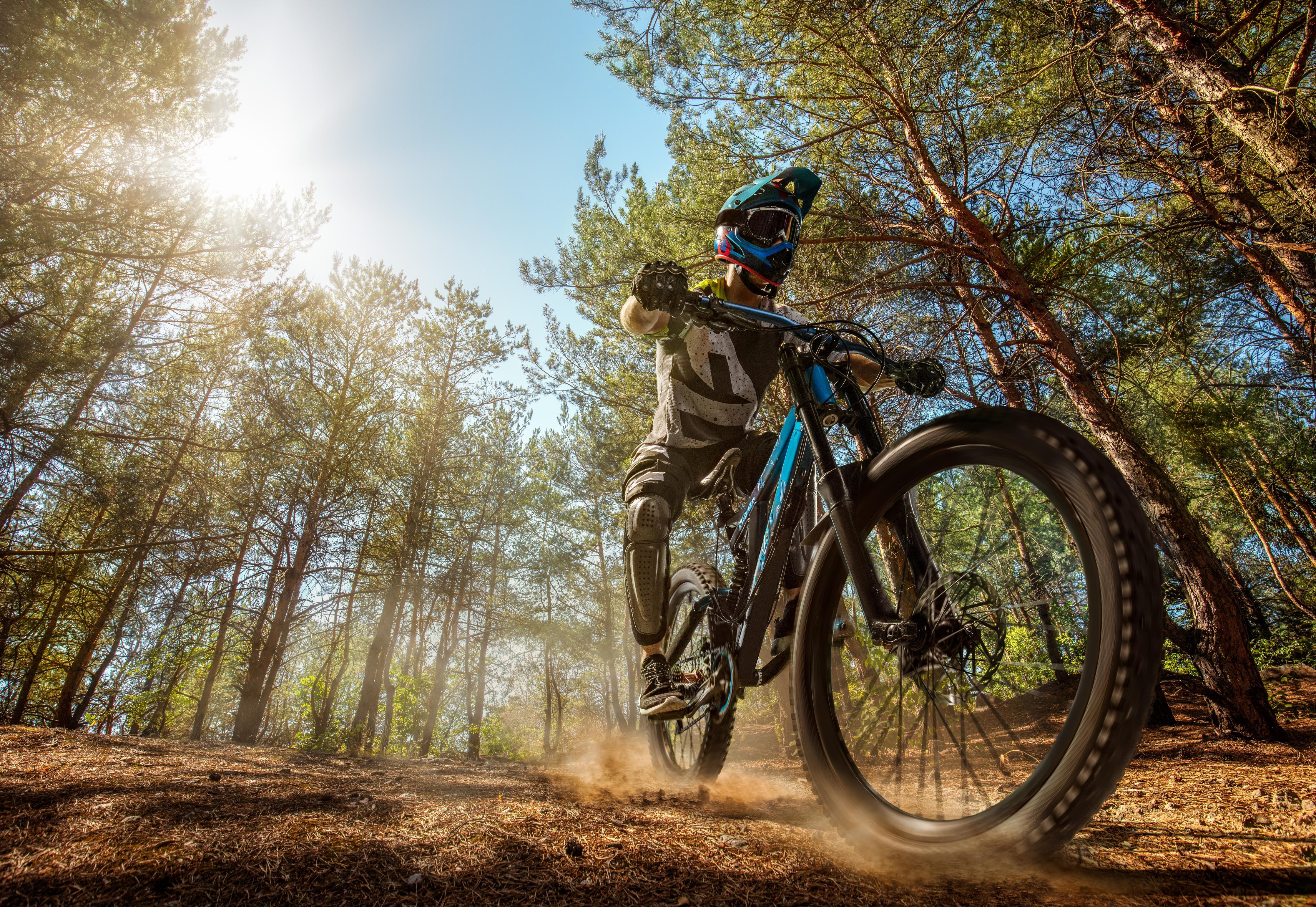 Duschrückwand-Mountainbiker auf Waldweg