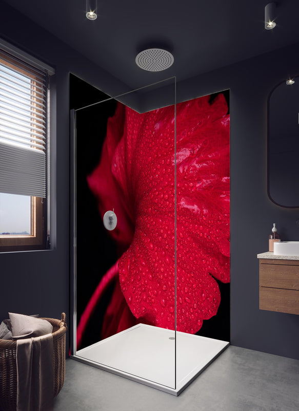 Duschrückwand - Nahaufnahme von rötlicher Frühlingsblume mit Regentropfen in dunklem Badezimmer mit Regenduschkopf