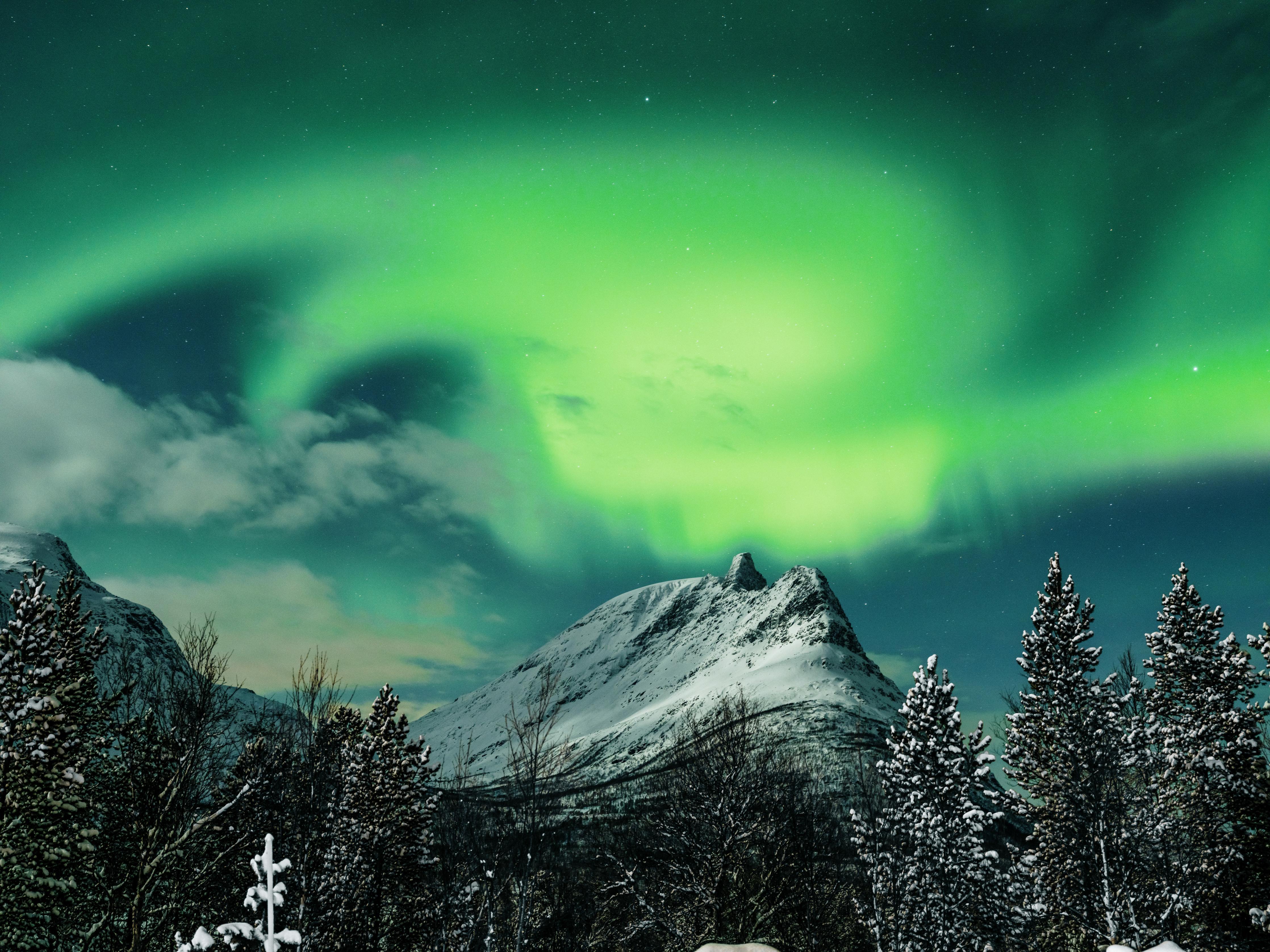 Duschrückwand-Polarlichter über Berg in Nordnorwegen