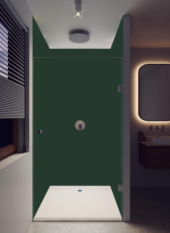 Duschrückwand - RAL 6009 (Tannengrün) in dunklem Badezimmer mit Regenduschkopf