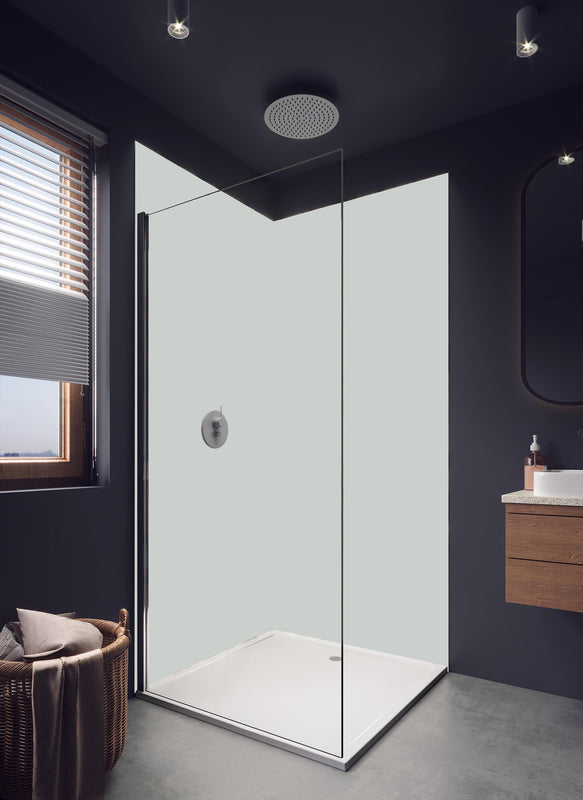 Duschrückwand - RAL 7035 (Hellgrau) in hellem Badezimmer mit Regenduschkopf - einteilige Duschrückwand