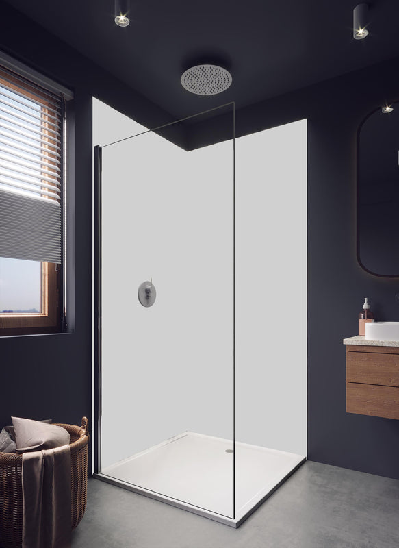 Duschrückwand - RAL 7047 (Telegrau 4) in hellem Badezimmer mit Regenduschkopf - einteilige Duschrückwand