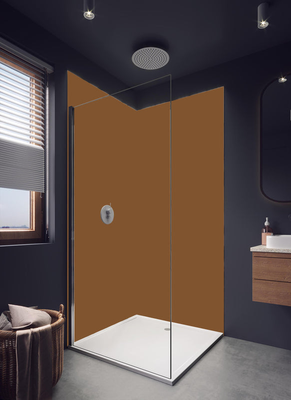 Duschrückwand - RAL 8003 (Lehm-Braun) in hellem Badezimmer mit Regenduschkopf - einteilige Duschrückwand