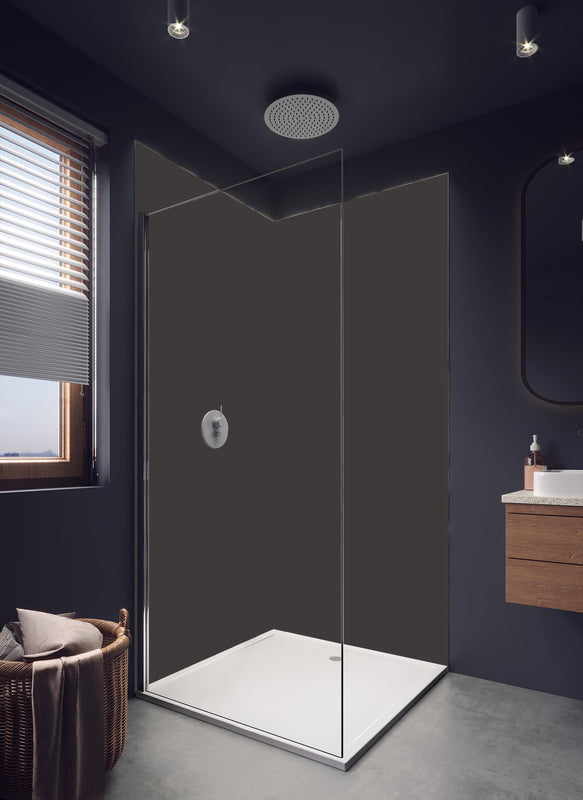 Duschrückwand - RAL 8019 (Graubraun) in hellem Badezimmer mit Regenduschkopf - einteilige Duschrückwand