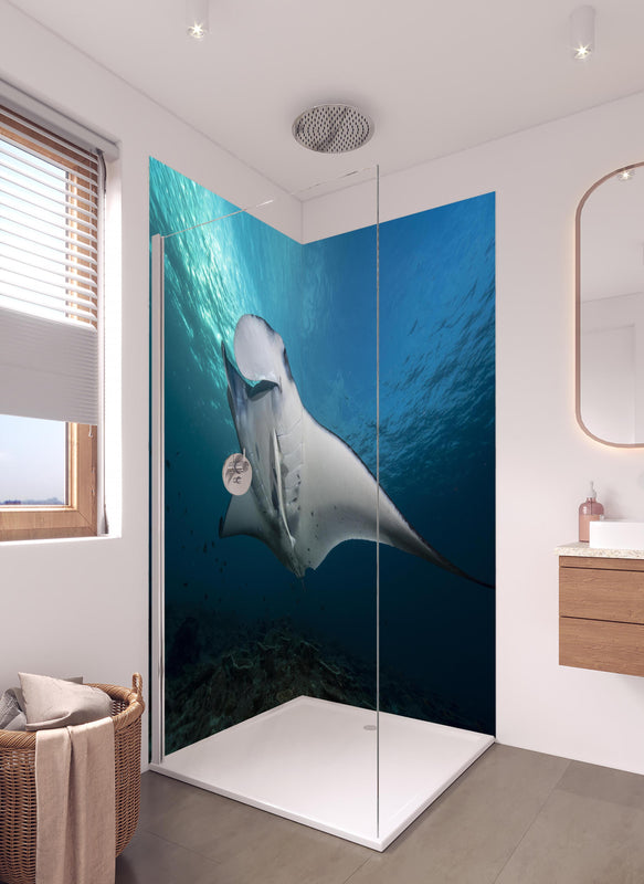 Duschrückwand - Riff-Manta Unterwasser in hellem Badezimmer mit Regenduschkopf  - zweiteilige Eck-Duschrückwand
