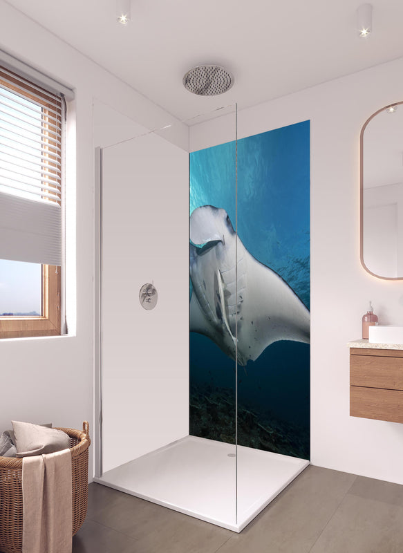 Duschrückwand - Riff-Manta Unterwasser in hellem Badezimmer mit Regenduschkopf - einteilige Duschrückwand