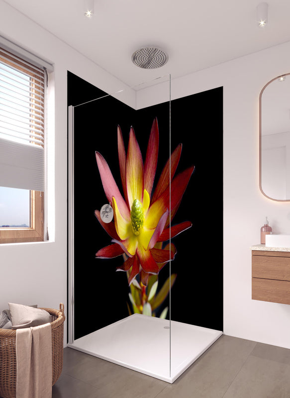 Duschrückwand - Rötliche aufblühende Lotosblume in hellem Badezimmer mit Regenduschkopf  - zweiteilige Eck-Duschrückwand