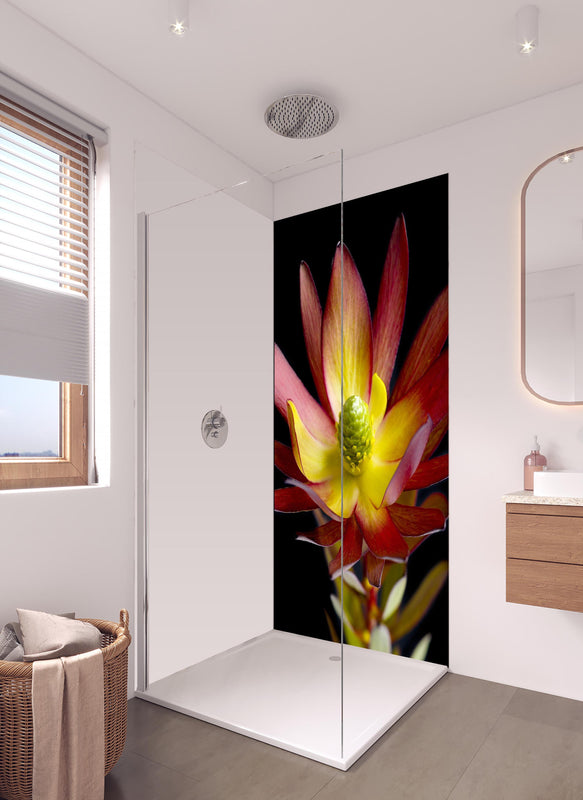 Duschrückwand - Rötliche aufblühende Lotosblume in hellem Badezimmer mit Regenduschkopf - einteilige Duschrückwand