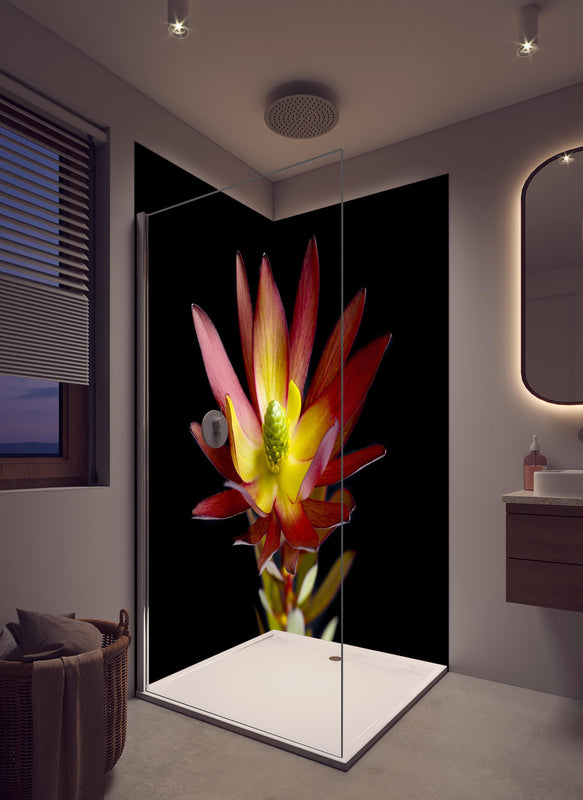 Duschrückwand - Rötliche aufblühende Lotosblume in cremefarbenem Badezimmer mit Regenduschkopf