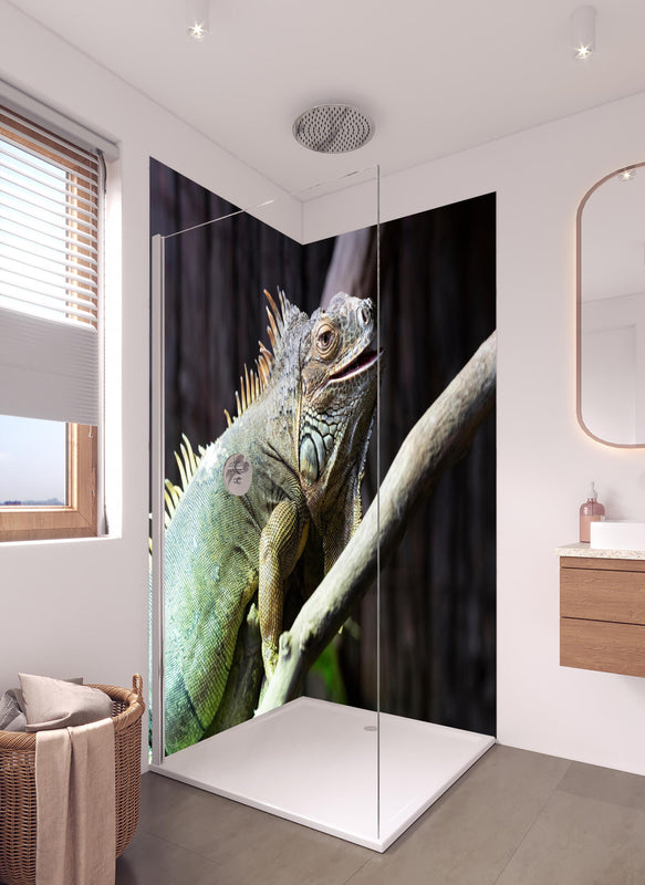Duschrückwand - Ruhender Leguan in hellem Badezimmer mit Regenduschkopf  - zweiteilige Eck-Duschrückwand