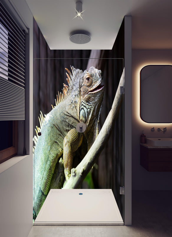 Duschrückwand - Ruhender Leguan in luxuriöser Dusche mit Regenduschkopf