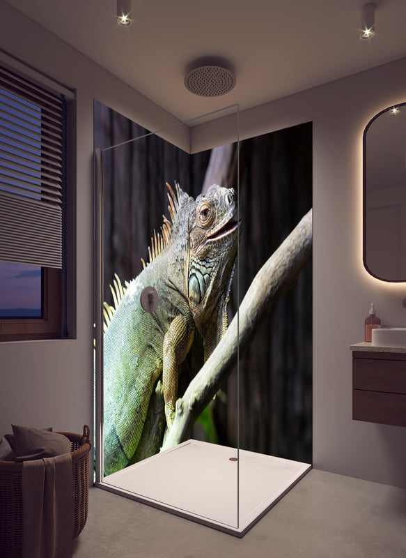 Duschrückwand - Ruhender Leguan in cremefarbenem Badezimmer mit Regenduschkopf