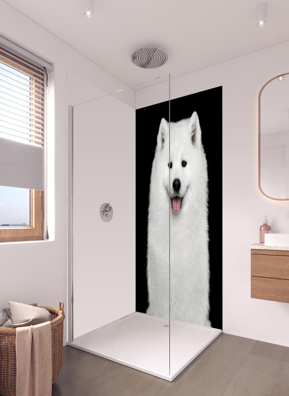 Duschrückwand - Samojeden Hund in hellem Badezimmer mit Regenduschkopf - einteilige Duschrückwand