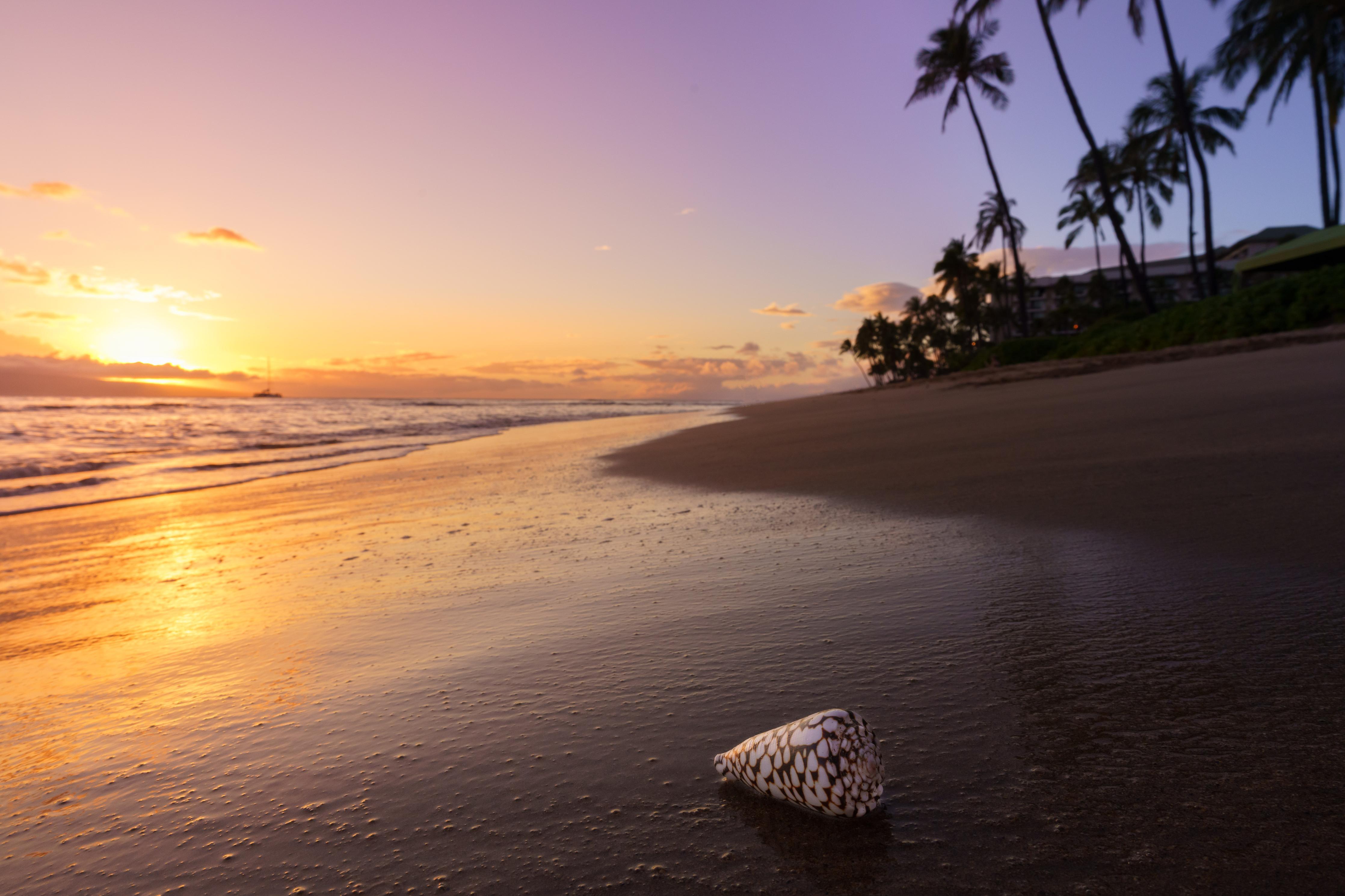 Duschrückwand-Schöner Sonnenuntergang am Strand von Hawaii