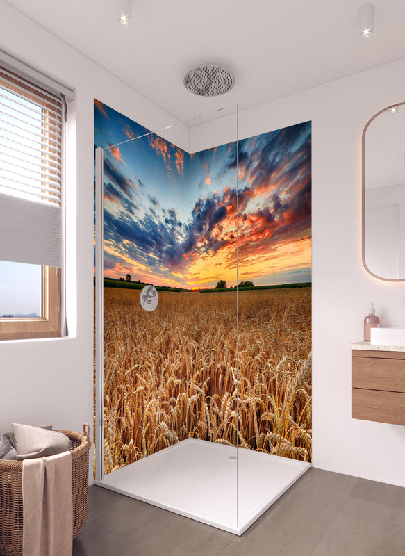 Duschrückwand - Sommer-Sonnenaufgang über Weizenfeldern in der Ukraine in hellem Badezimmer mit Regenduschkopf  - zweiteilige Eck-Duschrückwand