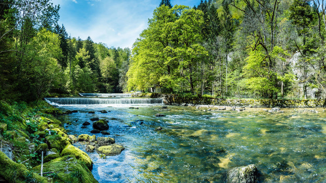 Duschrückwand - Sonnige Flusslandschaft in der Schweiz