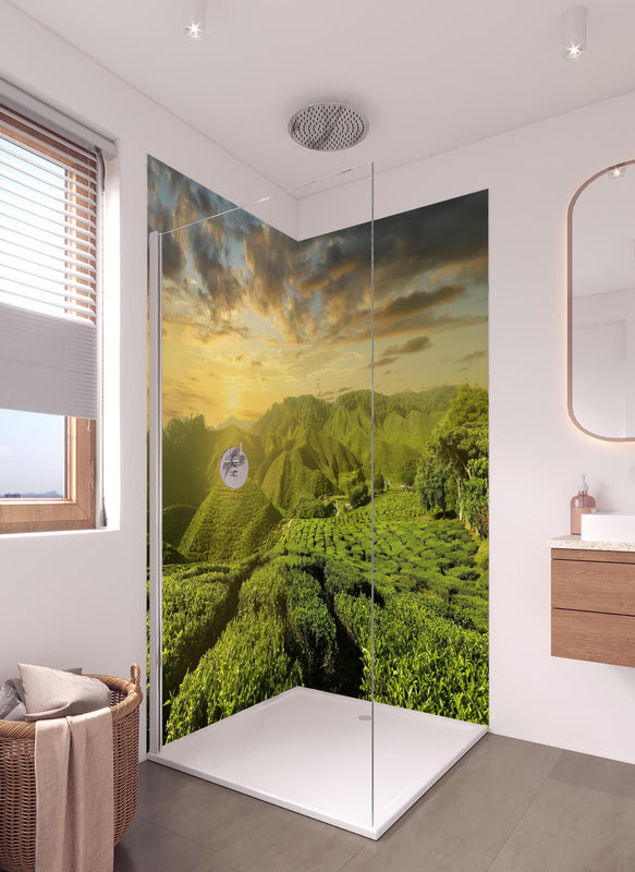 Duschrückwand - Teeplantage in Malaysia in hellem Badezimmer mit Regenduschkopf  - zweiteilige Eck-Duschrückwand