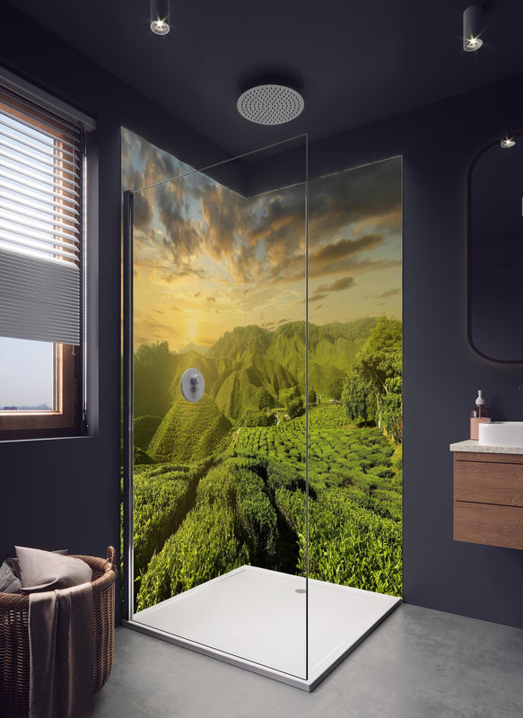 Duschrückwand - Teeplantage in Malaysia in dunklem Badezimmer mit Regenduschkopf