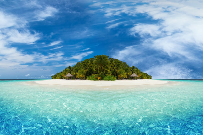 Duschrückwand - Tropische Insel mit Kokospalmen