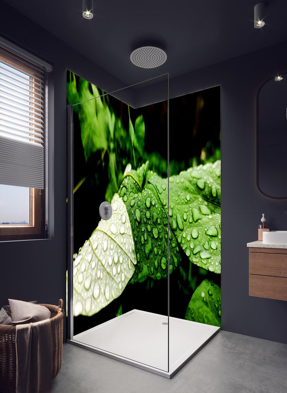 Duschrückwand - Wassertropfen auf einem Blatt in dunklem Badezimmer mit Regenduschkopf
