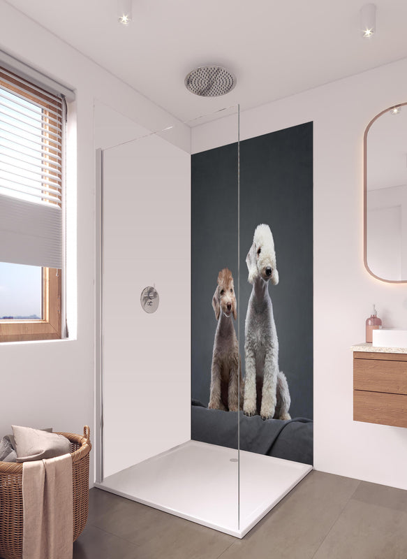 Duschrückwand - Welpe und erwachsener Bedlington Terrier in hellem Badezimmer mit Regenduschkopf - einteilige Duschrückwand