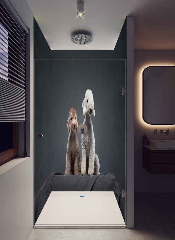 Duschrückwand - Welpe und erwachsener Bedlington Terrier in luxuriöser Dusche mit Regenduschkopf