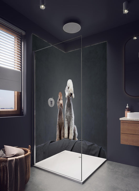 Duschrückwand - Welpe und erwachsener Bedlington Terrier in dunklem Badezimmer mit Regenduschkopf