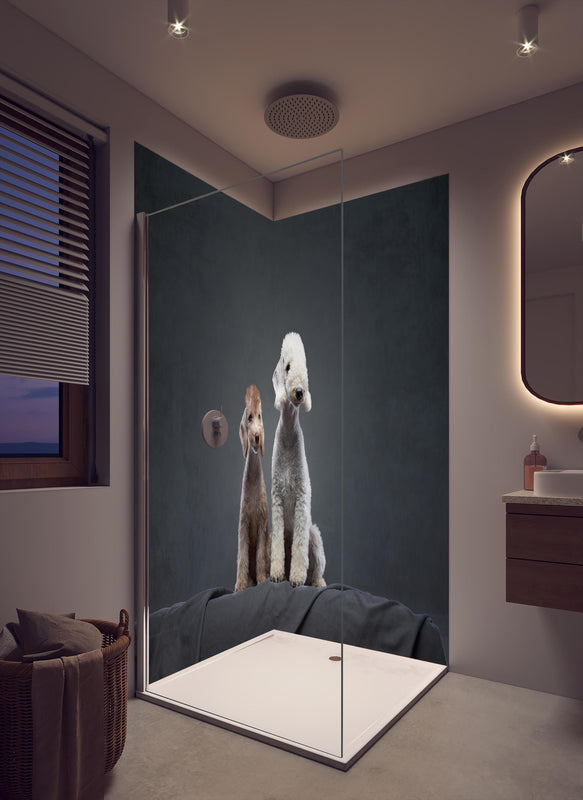 Duschrückwand - Welpe und erwachsener Bedlington Terrier in cremefarbenem Badezimmer mit Regenduschkopf