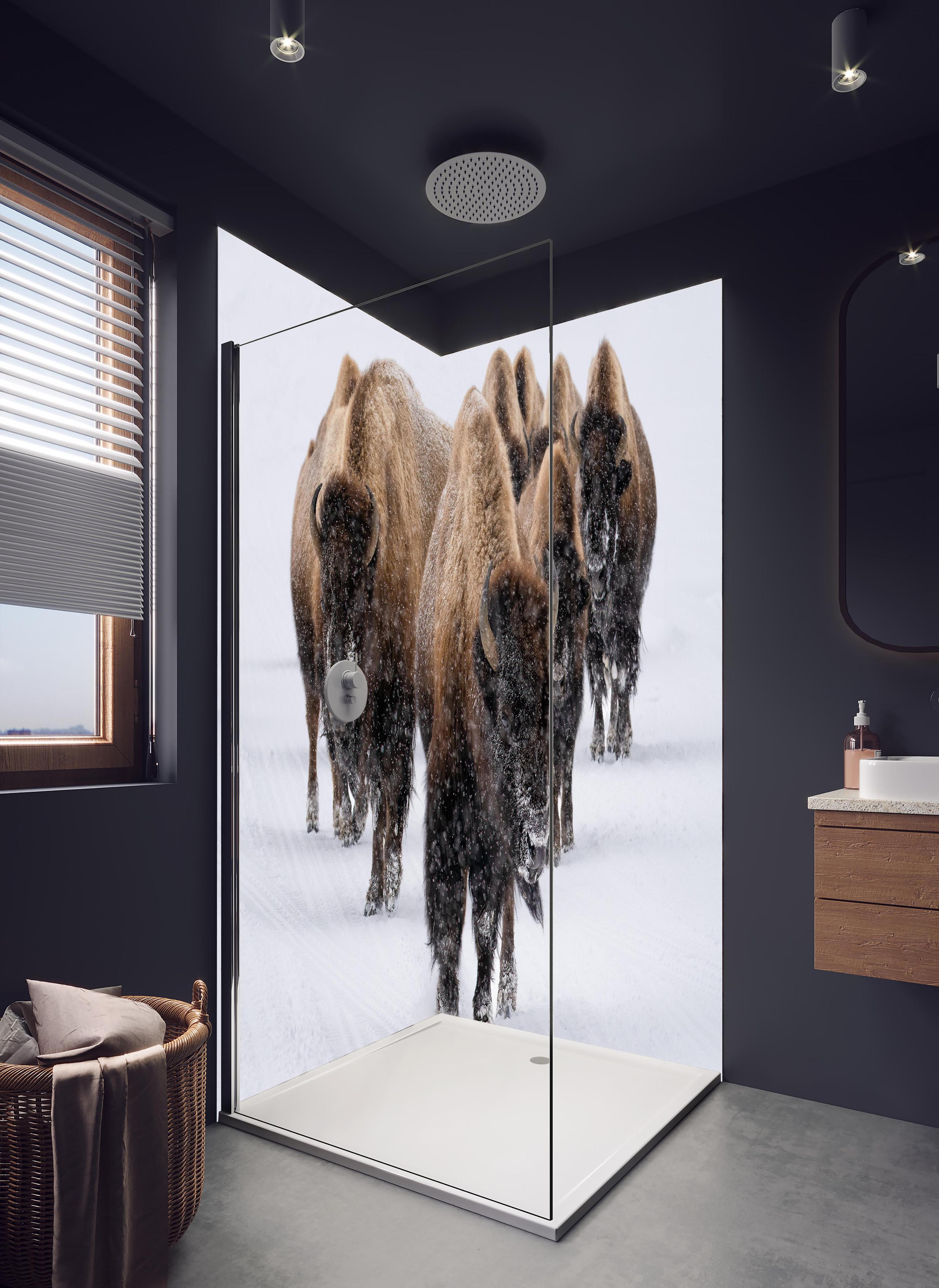 Duschrückwand - Eine Bison Herde in hellem Badezimmer mit Regenduschkopf  - zweiteilige Eck-Duschrückwand