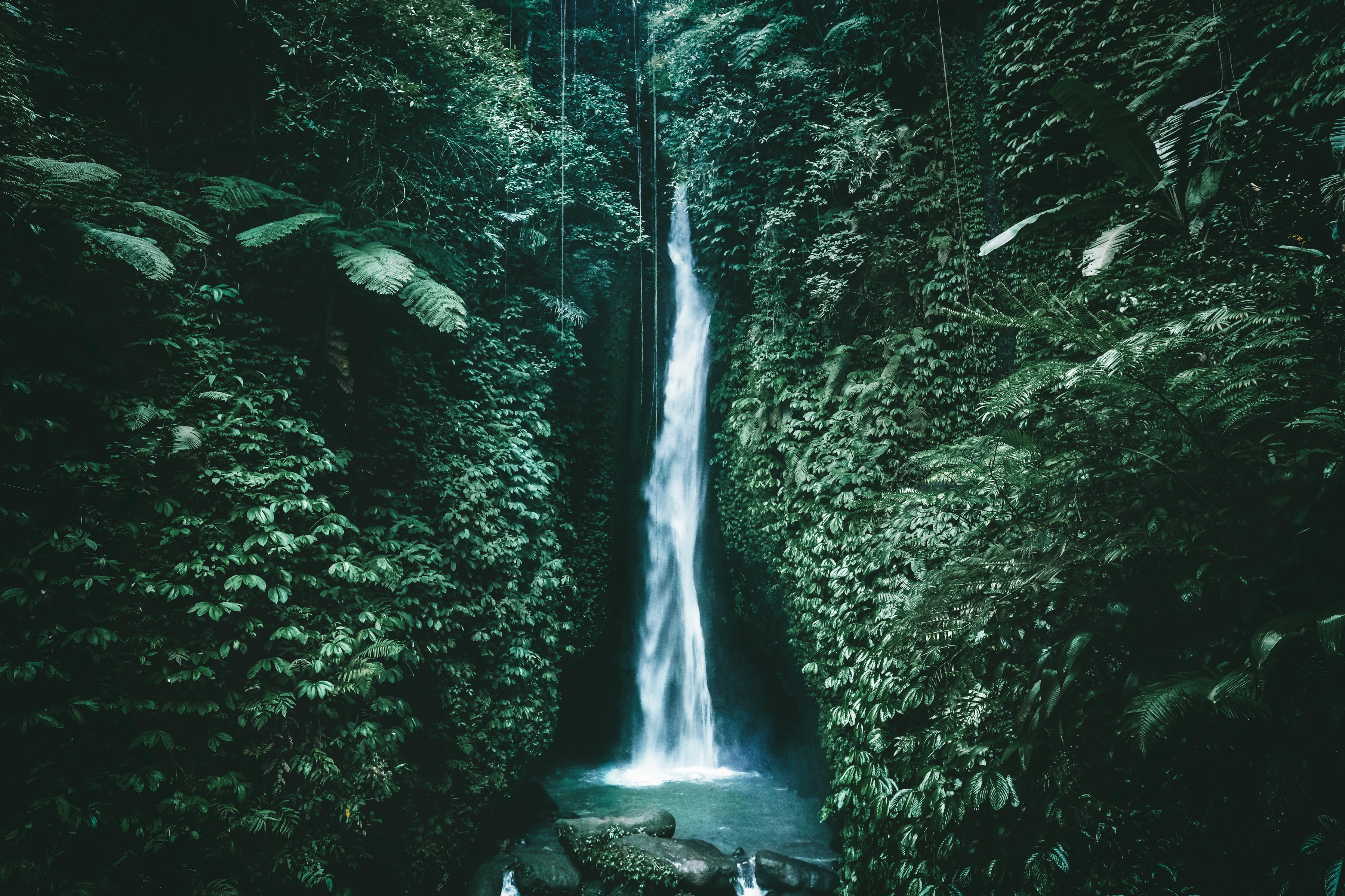 Duschrückwand-Erstaunlicher Wasserfall auf Bali