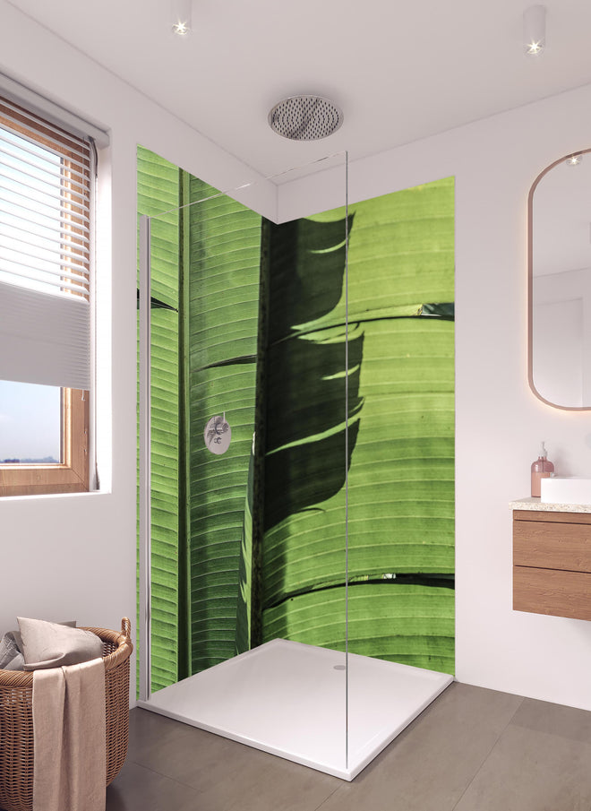 Duschrückwand - Exotisches grünes Palmenblatt-Design