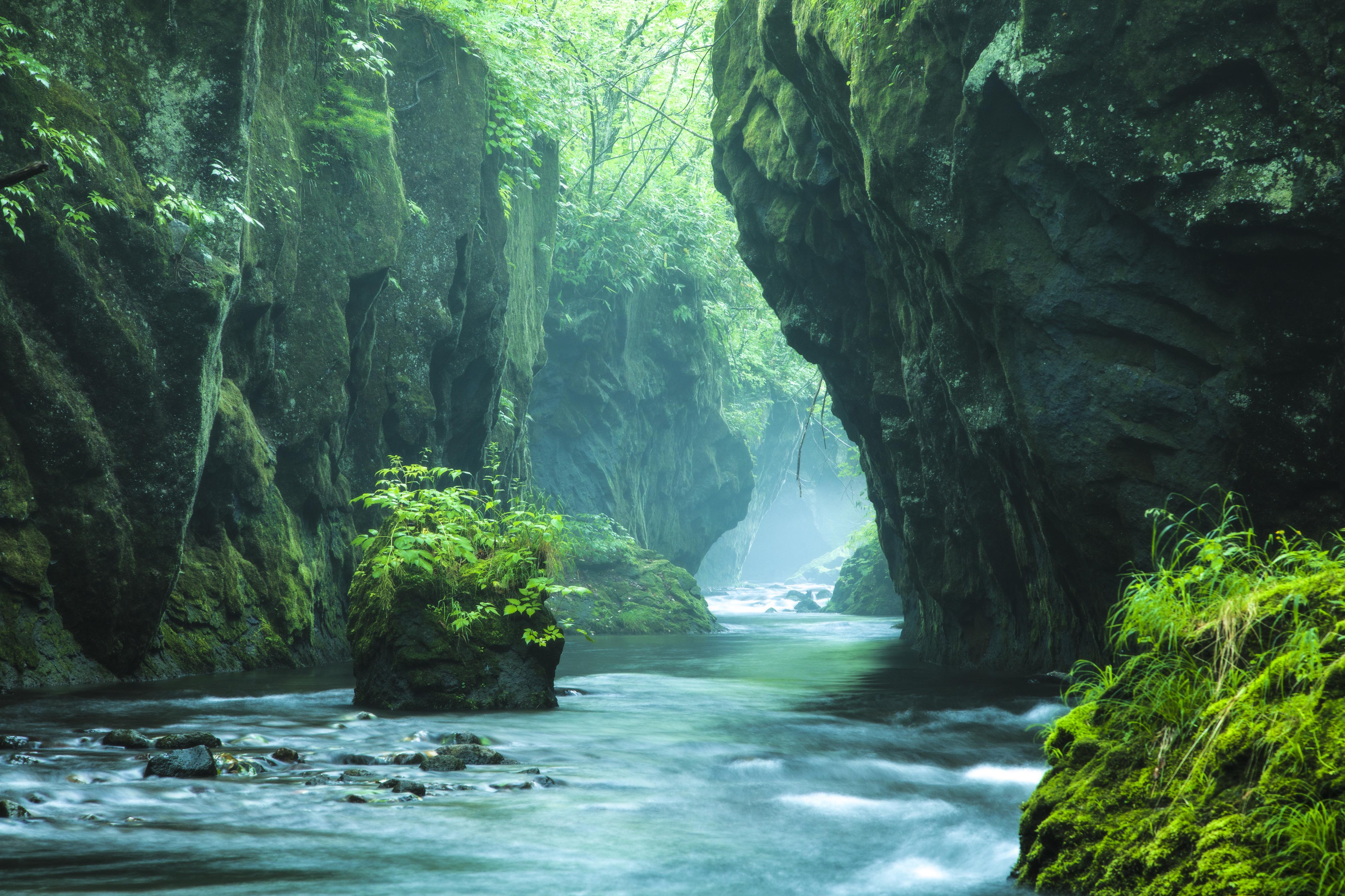 Duschrückwand-Felsschlucht im Dschungel Hokkaidos