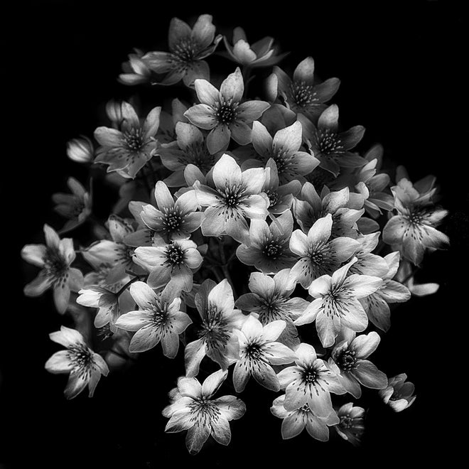 Duschrückwand - Florale Kunst - Blumenstrauß
