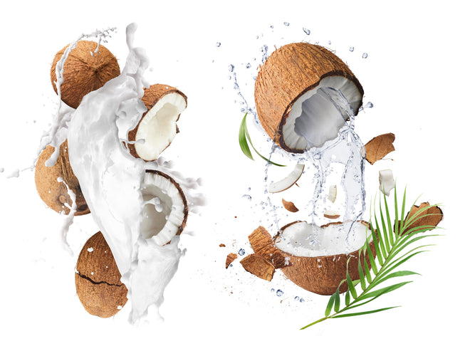 Duschrückwand - Frische Kokosnüsse
