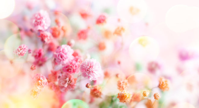 Duschrückwand - Frische rosa Frühlingsblumen