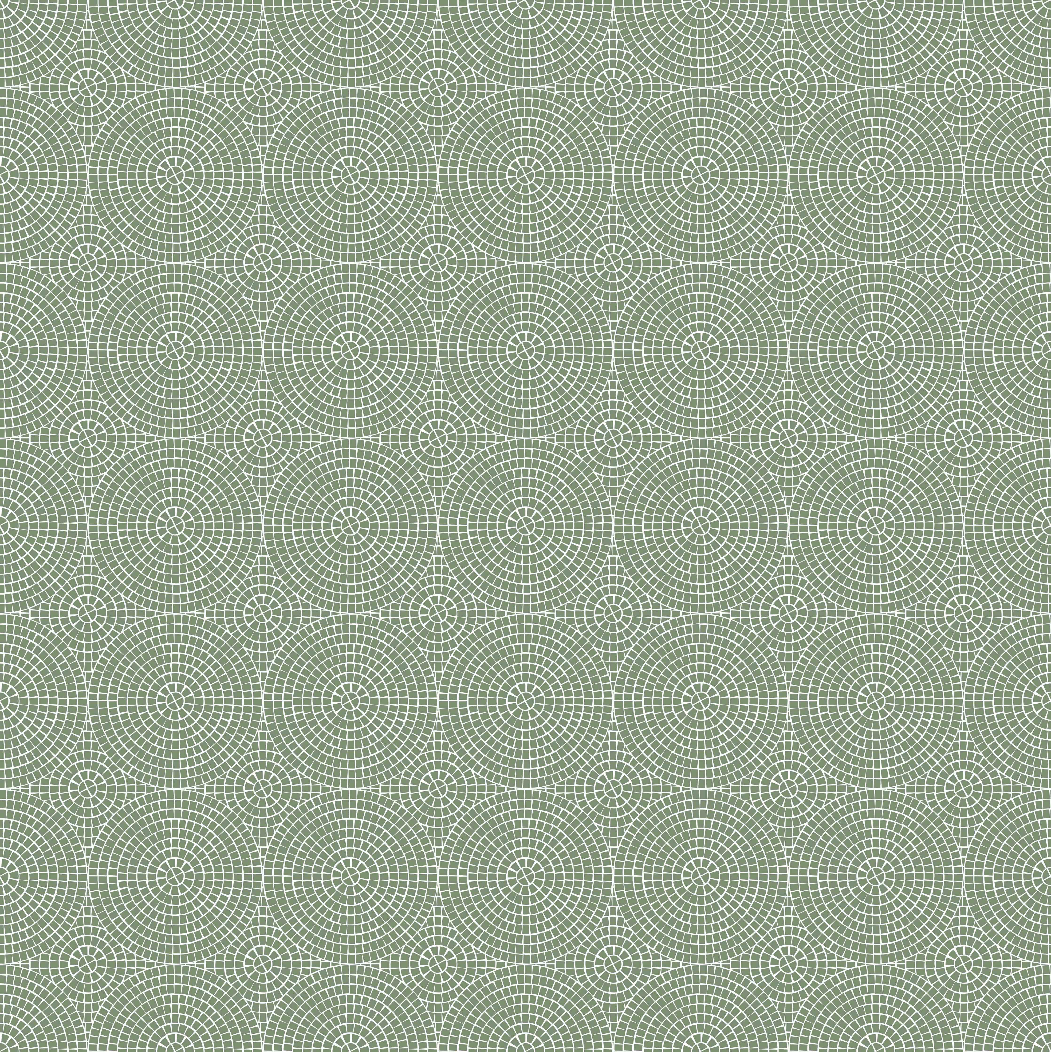 Duschrückwand-Geometrisches, Mintgrünes Muster mit linierten Kreisen