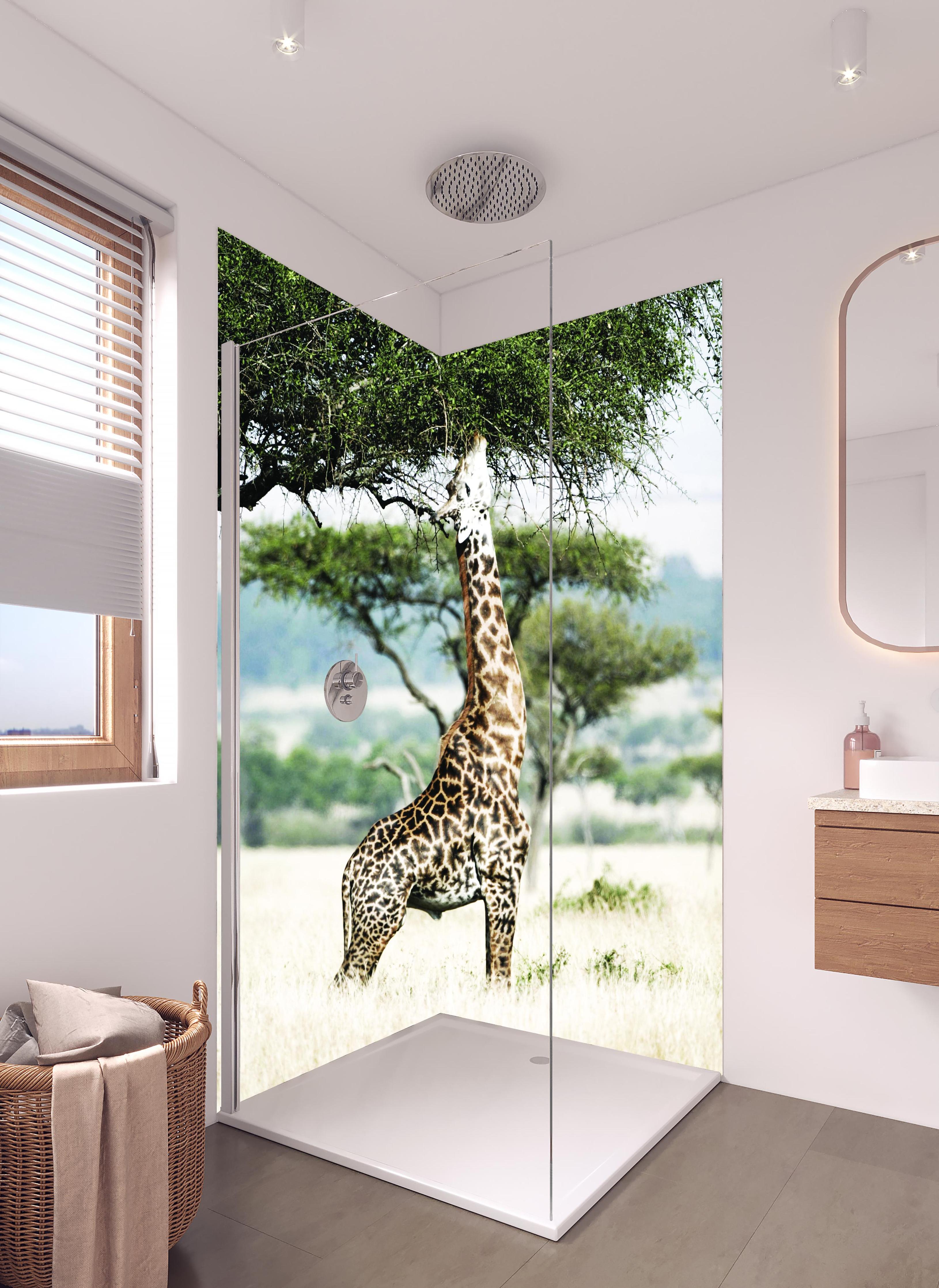 Duschrückwand - Giraffe in der Savanne in hellem Badezimmer mit Regenduschkopf  - zweiteilige Eck-Duschrückwand