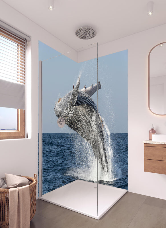Duschrückwand - Großer Buckelwal beim Auftauchen in hellem Badezimmer mit Regenduschkopf  - zweiteilige Eck-Duschrückwand