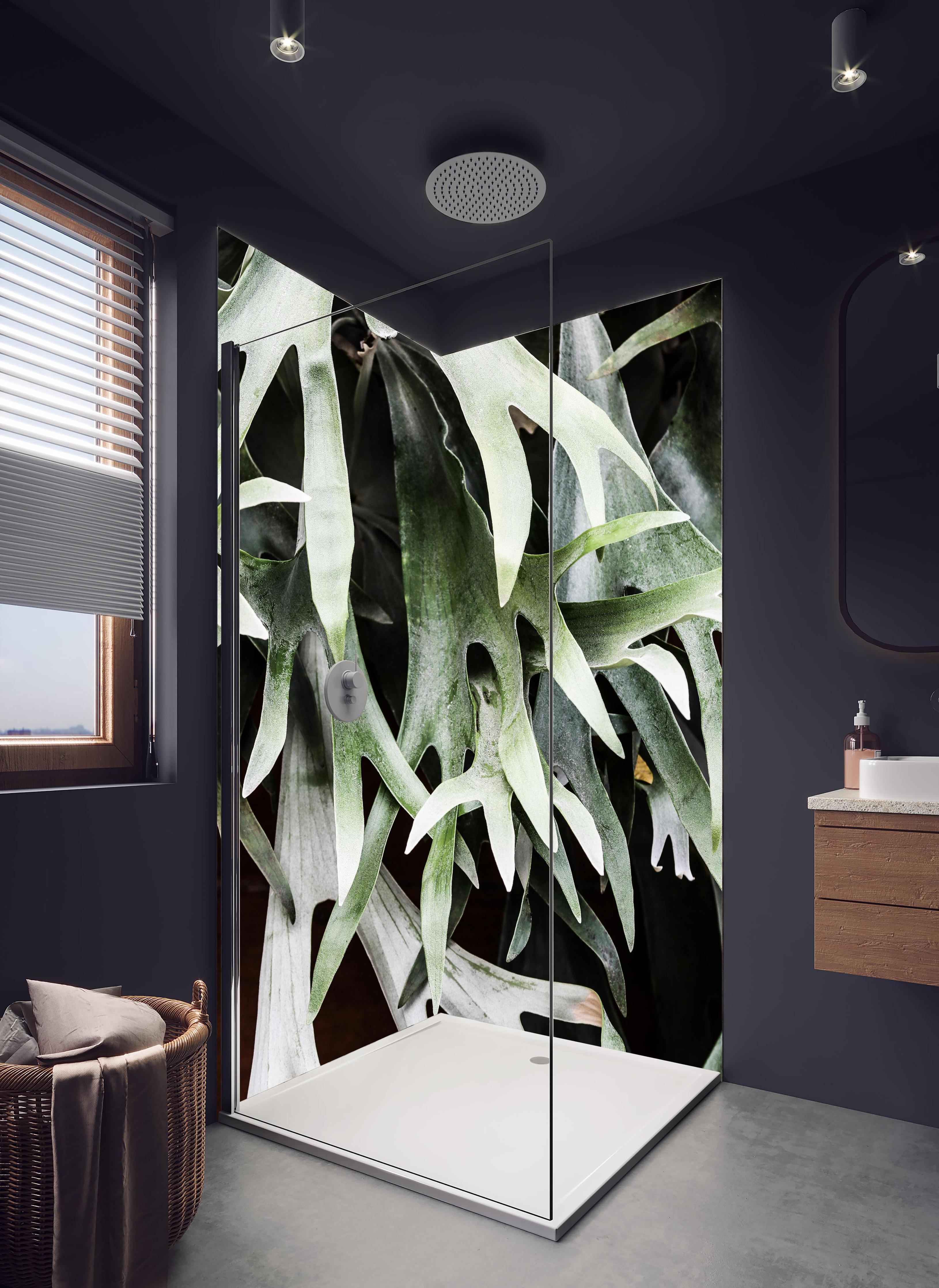 Duschrückwand - Grün-Graues Staghorn Farngewächs Makroaufnahme in hellem Badezimmer mit Regenduschkopf  - zweiteilige Eck-Duschrückwand